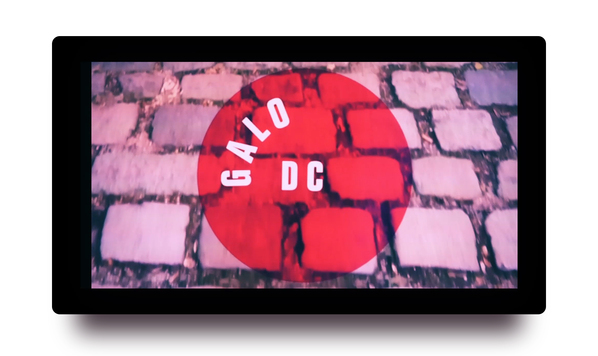Galo DC